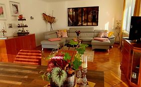2 Zimmer Domizil am Südhang mit Terrasse und Pool